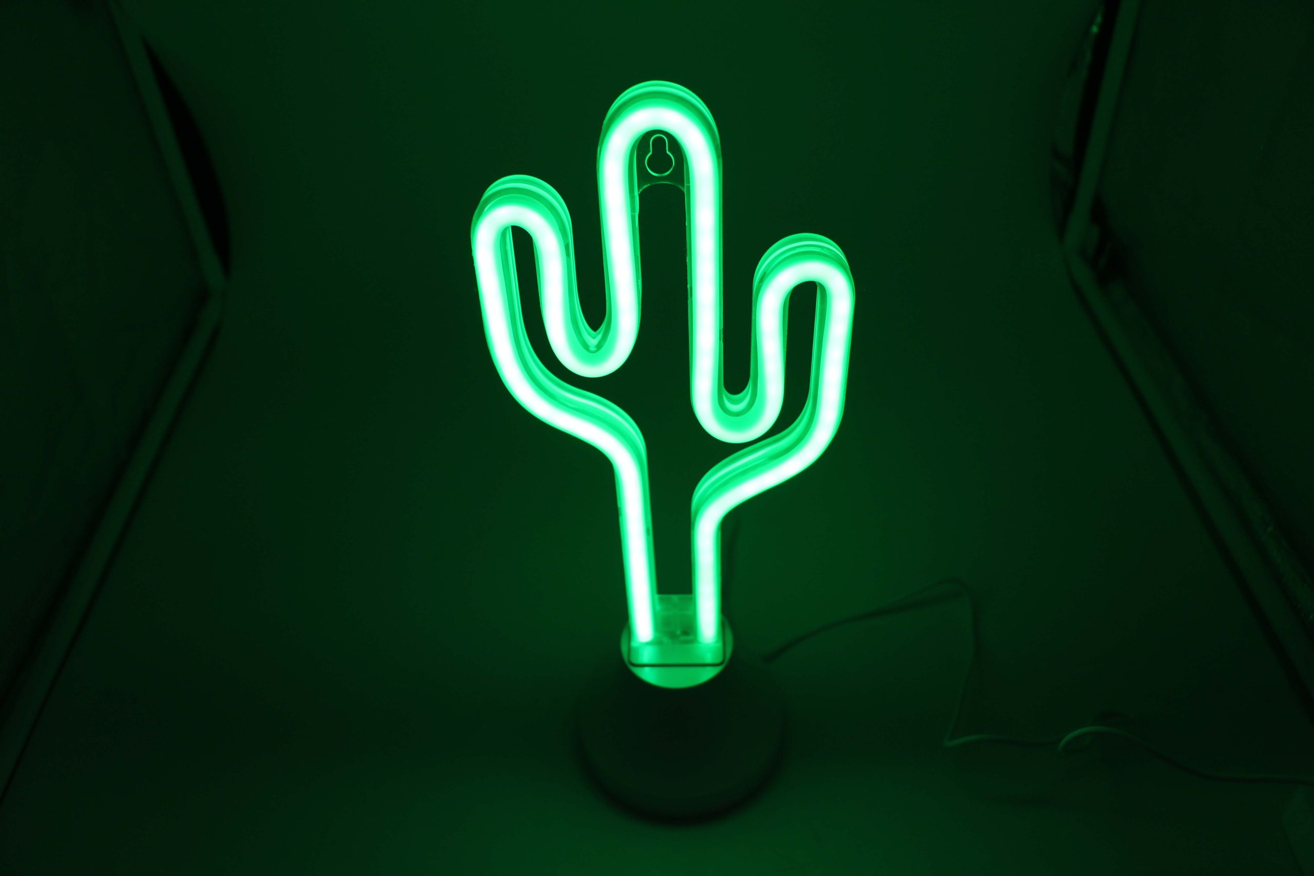 Cactus Green LED Neon Tube Light by Flex-Neon.com