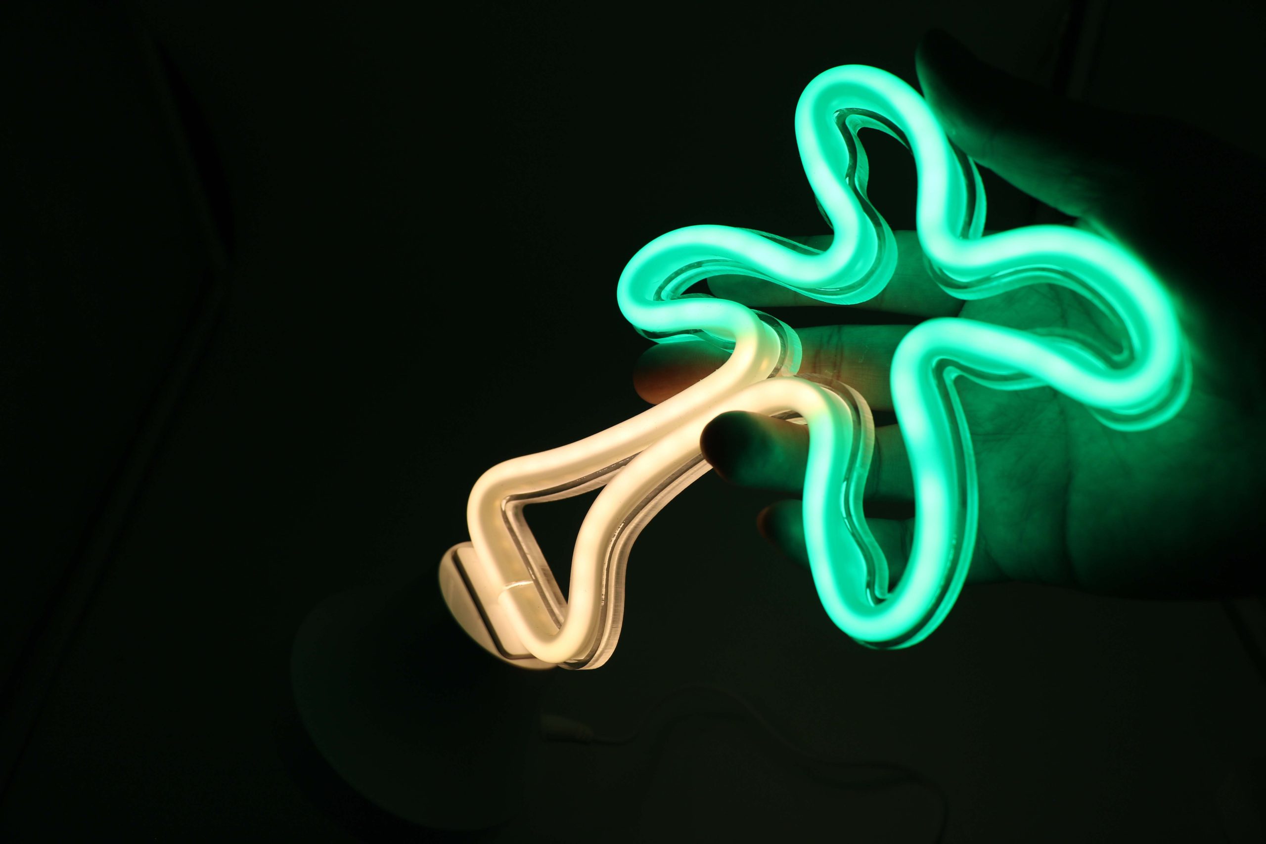 Coconut tree LED Neon Tube Night light by Flex-Neon.com