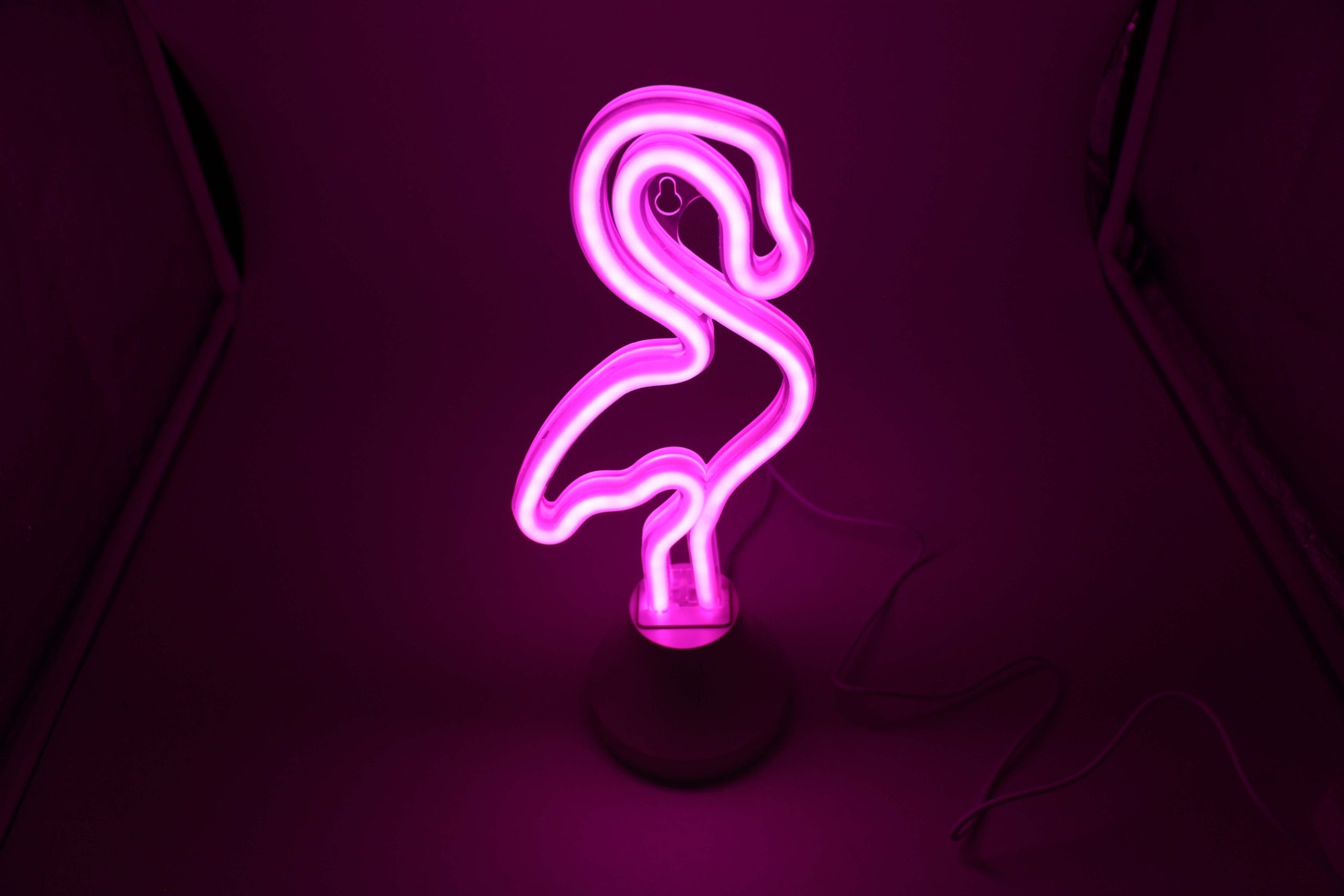 Flamingo LED Neon Tube Night Light by Flex-Neon.com