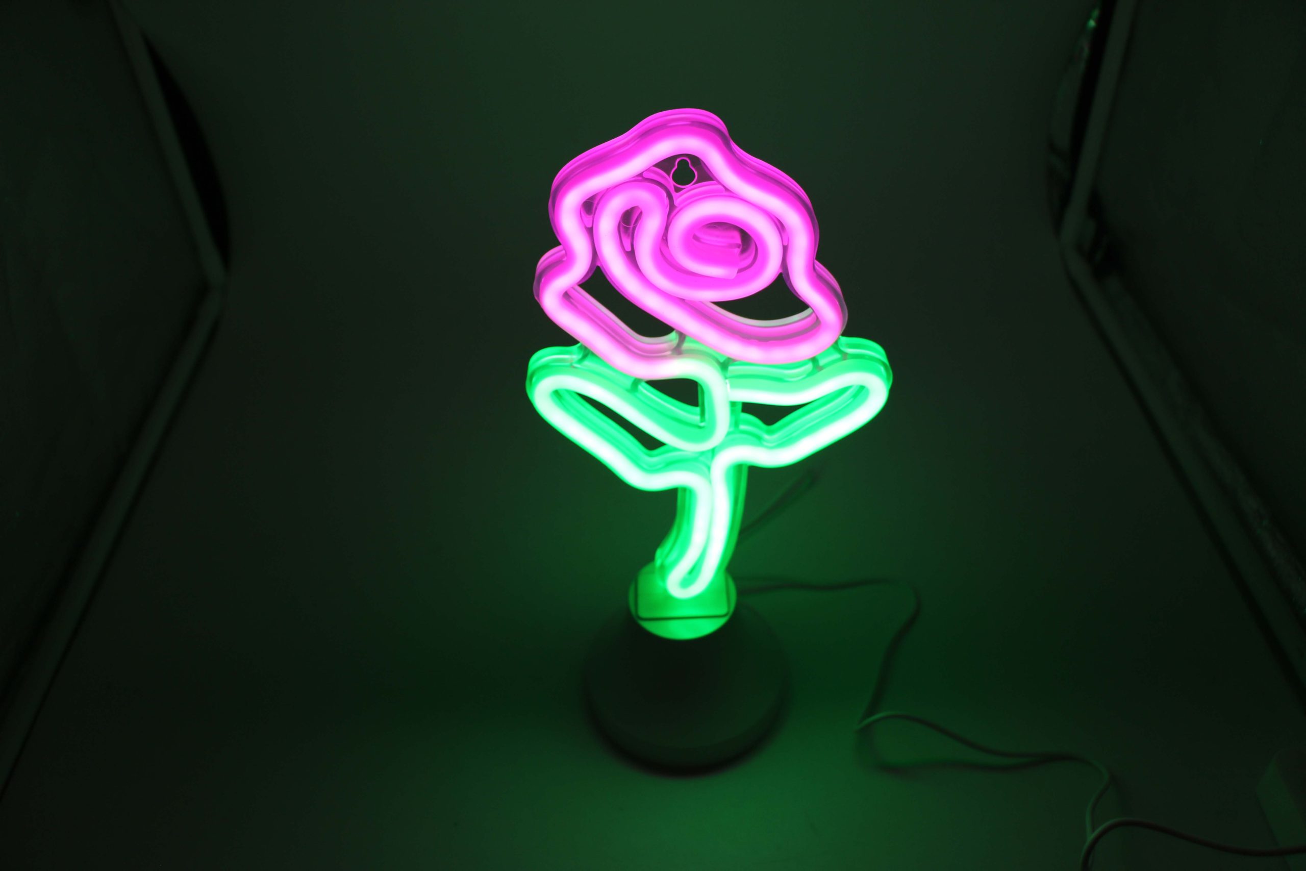 Flower LED Neon Tube Night Light by Flex-Neon.com