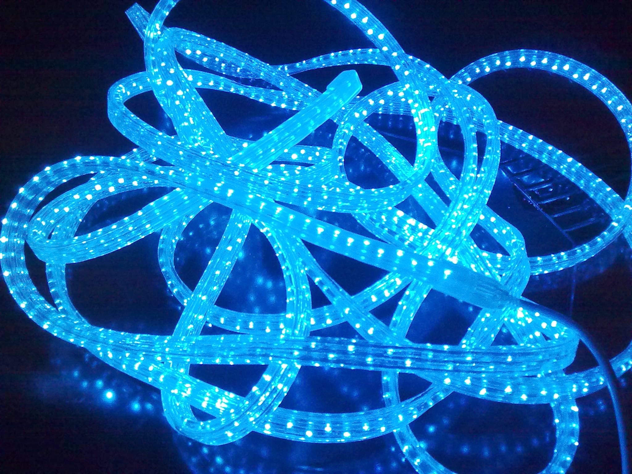 Square 3 wires LED Rope Light 11x18mm Blue 1